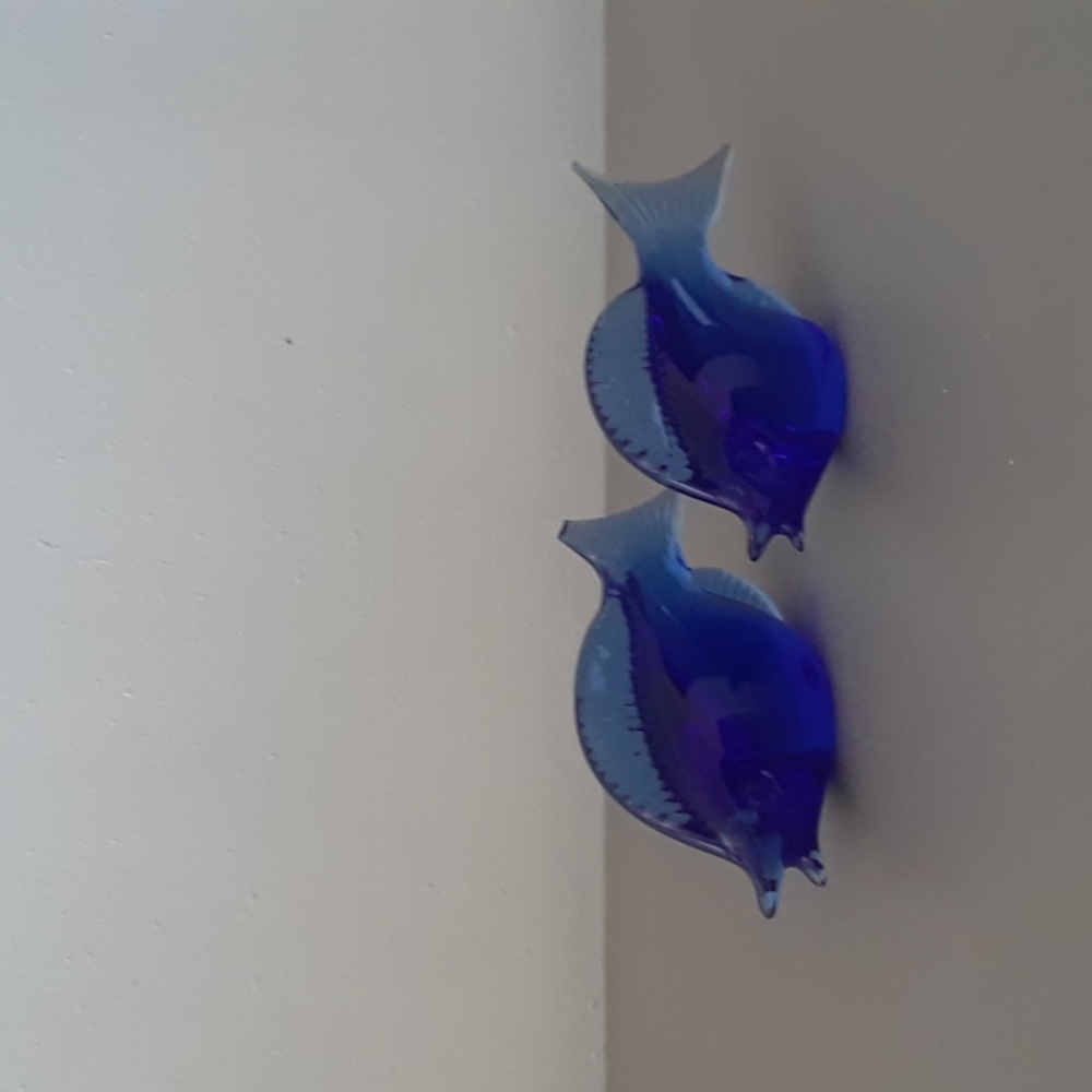 Beautiful Glass Fish